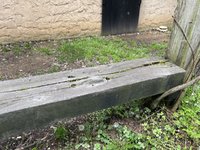 IMG_4705.jpg