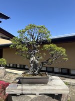 IMG_8475.jpeg