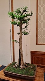 20240426_120040.jpg