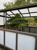 gardensunlimitedemperor.jpg