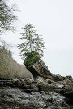 tumblr_24f04c201ca081f8e2c0cede74193f09_6c5dbfb1_2048.jpg