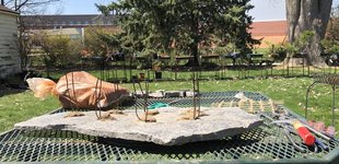 IMG_2478.jpeg