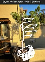 IMG_5410.jpeg