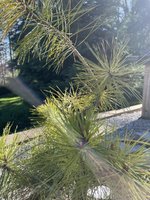 IMG_2364.jpeg