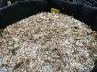 IMG_1339.jpeg