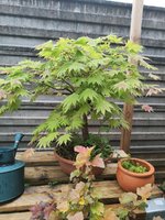 IMG20240502195246.jpg
