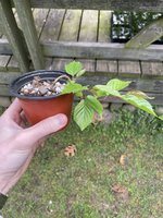 IMG_7939.jpeg
