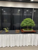 IMG_1422.jpeg