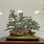 IMG_8664.jpeg