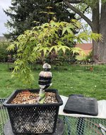 IMG_2505.jpeg
