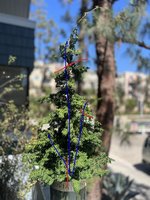 019AE462-251C-431C-B9E8-17E6C7CF84B8.jpeg