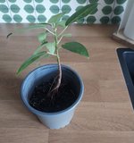 IMG_7555.jpeg IMG_7555.jpeg
