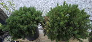 20240509_203042.jpg 20240509_203042.jpg