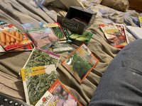IMG_3568.jpeg