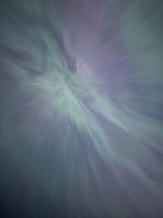 IMG_2172.jpeg