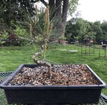 IMG_2538.jpeg