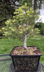 IMG_2562.jpeg IMG_2562.jpeg