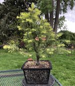 IMG_2564.jpeg IMG_2564.jpeg