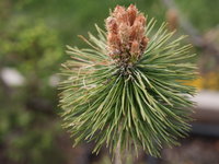 DSCF7697.JPG