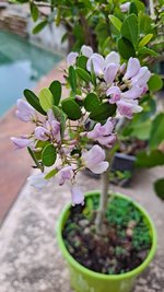 20240509_075117.jpg