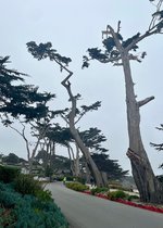IMG_1230.jpeg