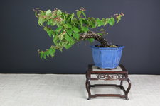 ABE2DEF7-4D2F-4776-802B-9BACB99E6F46.jpeg ABE2DEF7-4D2F-4776-802B-9BACB99E6F46.jpeg