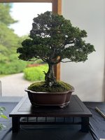 IMG_5149.JPEG