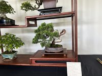 IMG_5152.JPEG