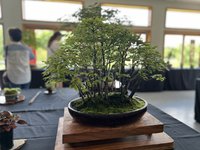IMG_5157.JPEG
