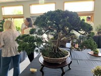IMG_5158.JPEG