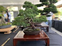 IMG_5180.JPEG