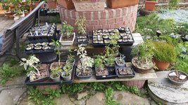 20240520_092639.jpg
