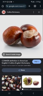 Screenshot_20240527_201949_Chrome.jpg