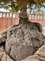 IMG_0854.jpeg IMG_0854.jpeg