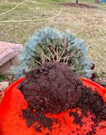 IMG_0860.jpeg IMG_0860.jpeg