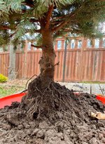 IMG_0862.jpeg IMG_0862.jpeg