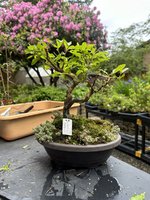 IMG_1608.jpeg