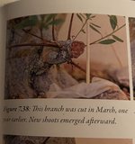 IMG_1520.jpeg