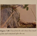 IMG_1522.jpeg
