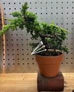 IMG_6215.jpeg