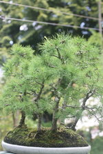 IMG_3817.JPG