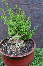 1000003815.jpg 1000003815.jpg