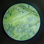 PXL_20240605_130740638_exported_1098_1717593714203.jpg