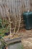 DSC09645.jpg