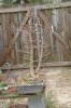 DSC09648-1.jpg