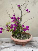 IMG_3052.jpeg