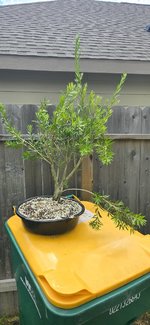 20240614_103907.jpg