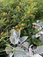 IMG_9891.jpeg