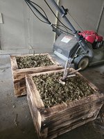IMG_20240613_080424.jpg