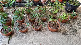 20240616_113643.jpg
